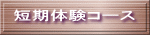 スタイル 