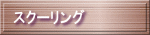 スクーリング 